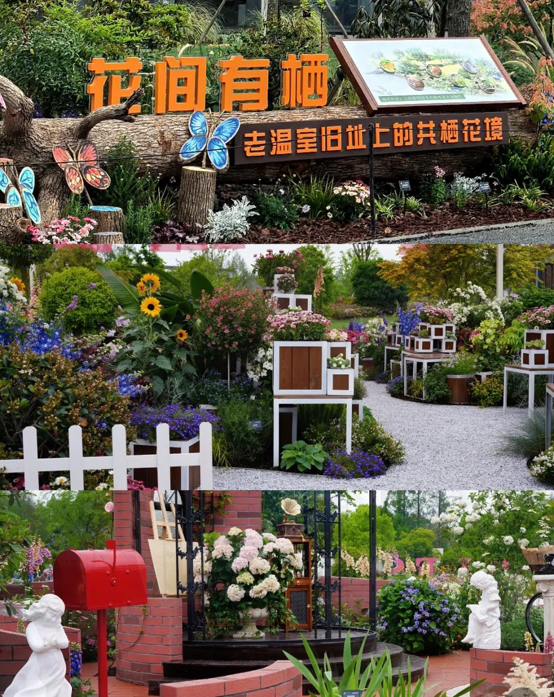 图片21.png
