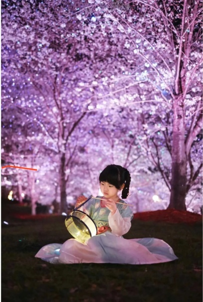 夜樱.jpg 夜樱.jpg
