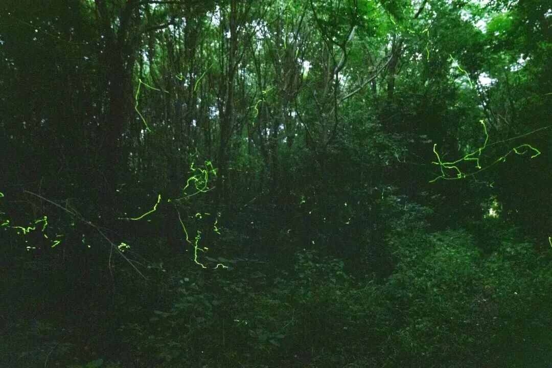 d0c63e47fe341650169bbe53709a9026.jpg