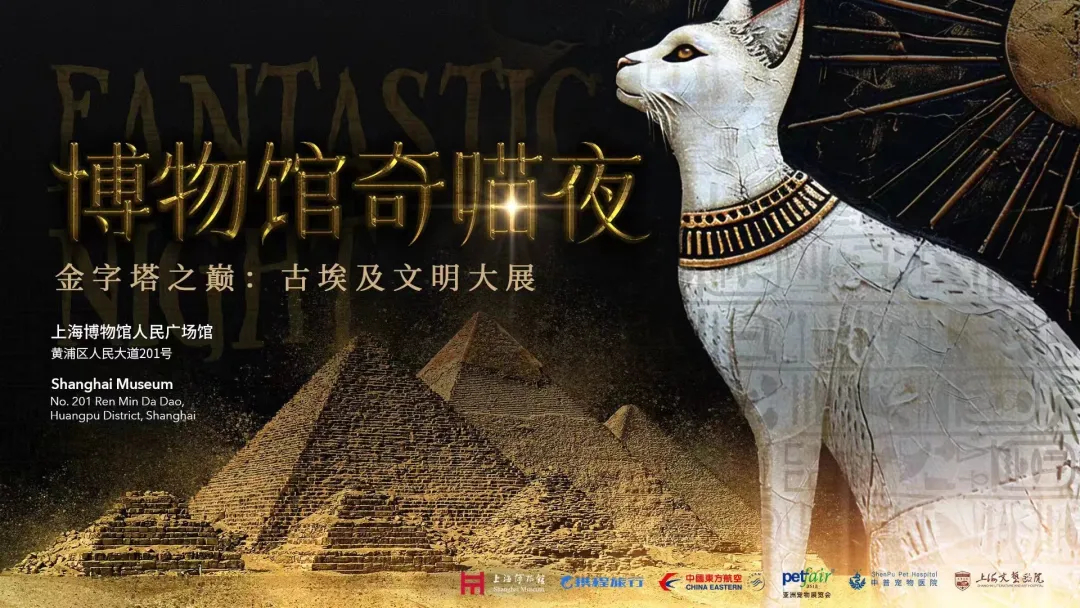 上海博物館「ピラミッドの頂:古代エジプト文明展」：革新的なワンストップ文化観光体験の新しいシーン、ペットの猫連れでの見学が可能に