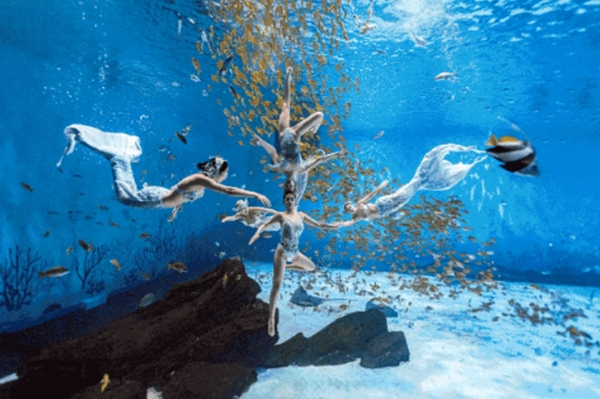 海昌海洋公园.jpg