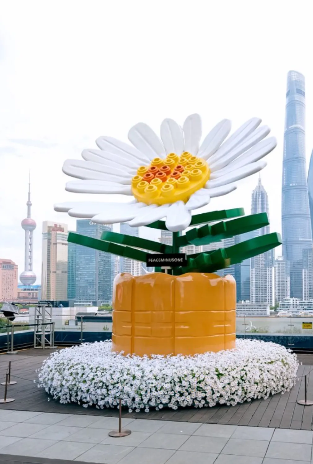 图片46.png