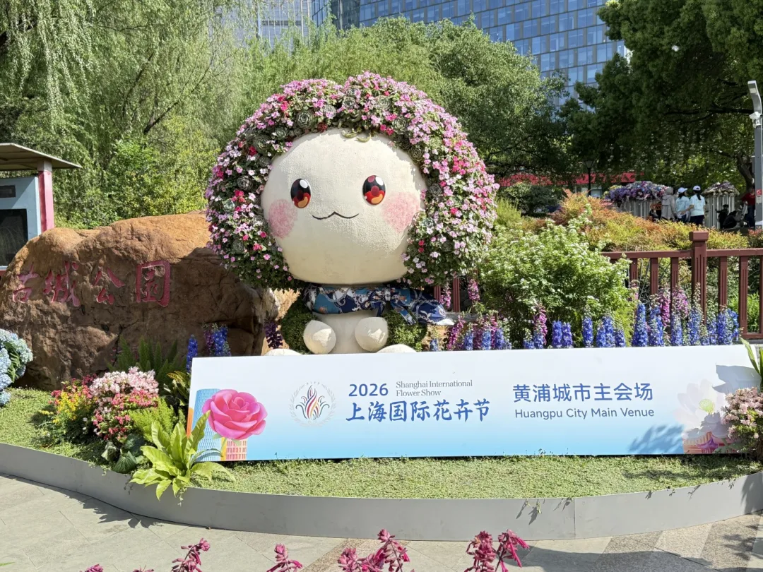 图片16.png