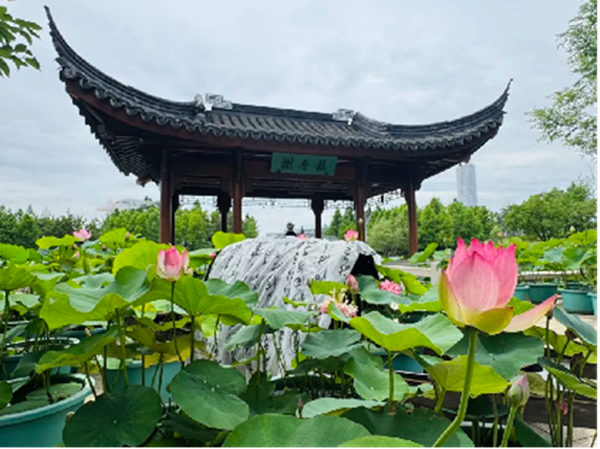 申园纳夏凉.png