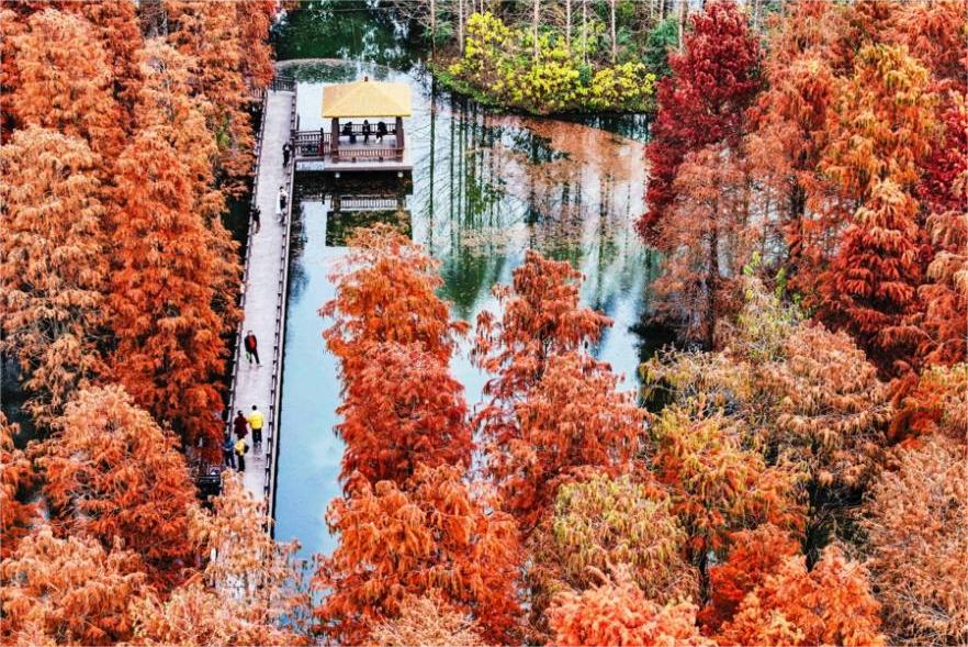 上海市、「第14次五カ年計画」期間中に生態分野で顕著な成果を