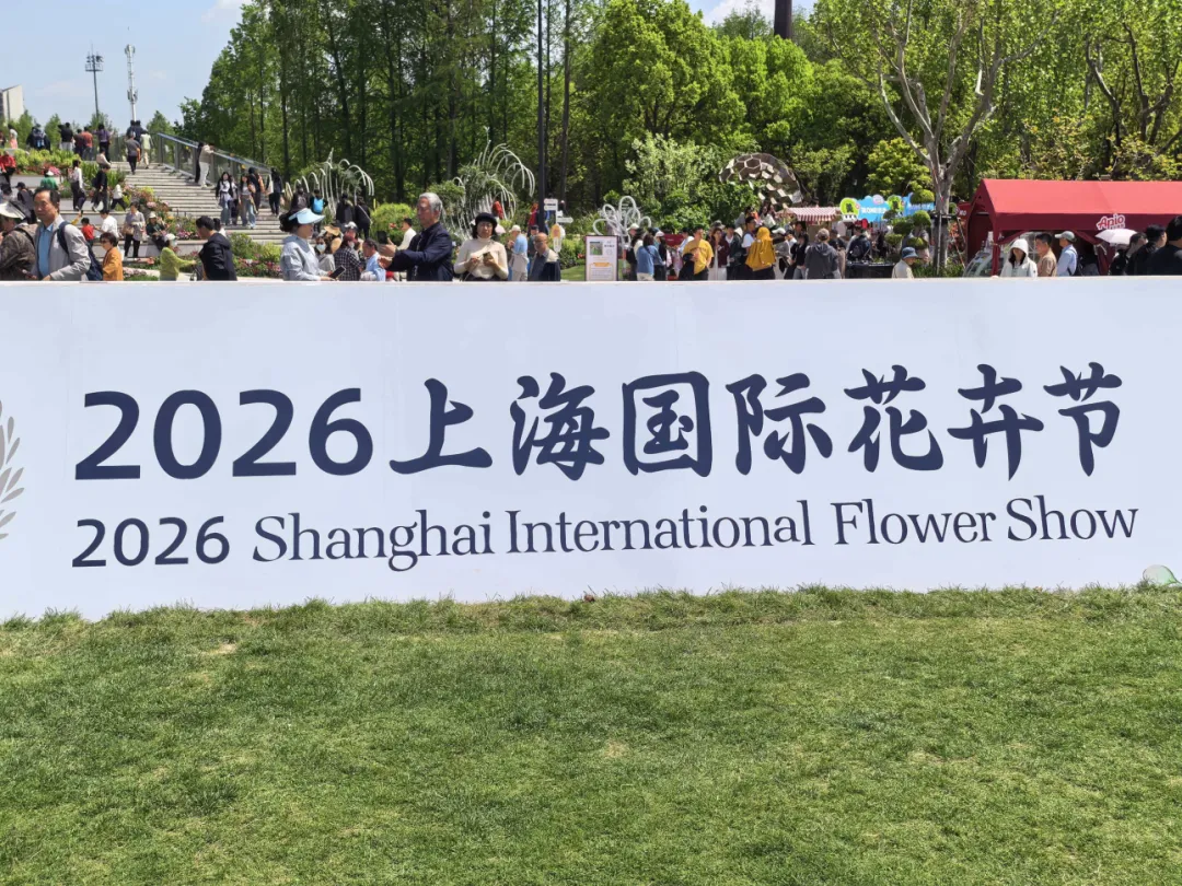 图片23.png