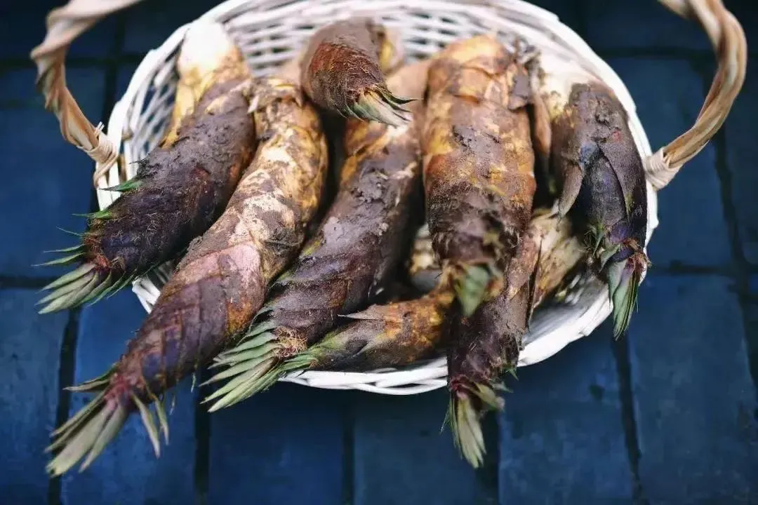 图3 口感鲜醇的松江春笋.png