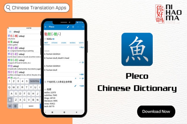 Plecoを使った中国語の学習方法