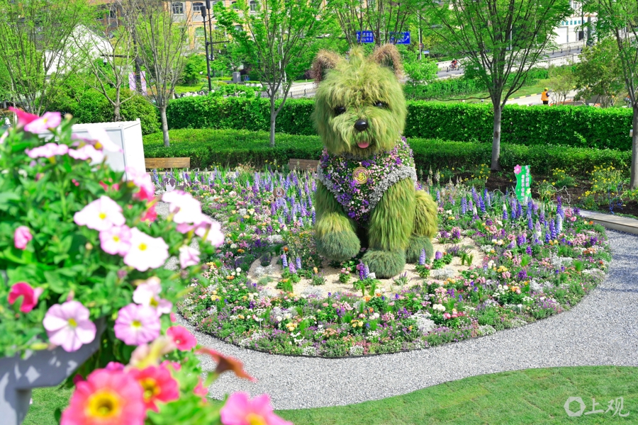 「ボサボサわんこ」が夏仕様に衣替えへ