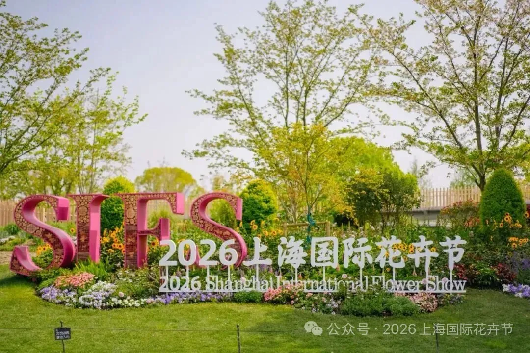 图片14.png