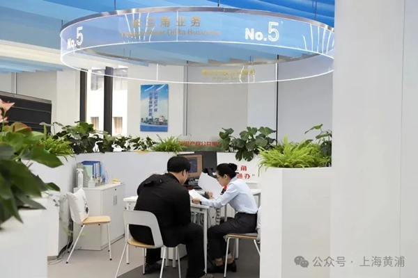 长三角政务服务“一网通办”远程虚拟窗口.jpg