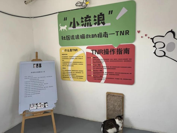 TNR流浪猫治理模式.png