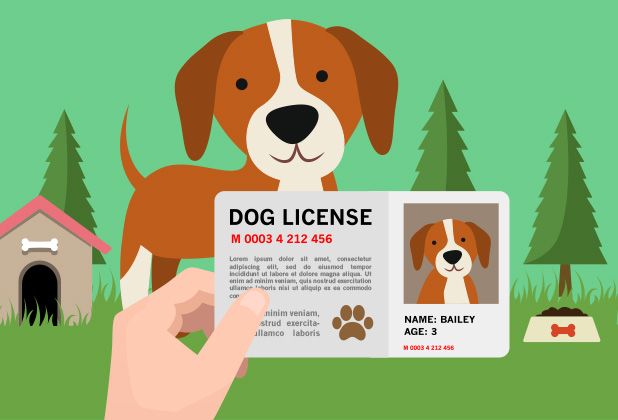 犬の免許を取得する方法