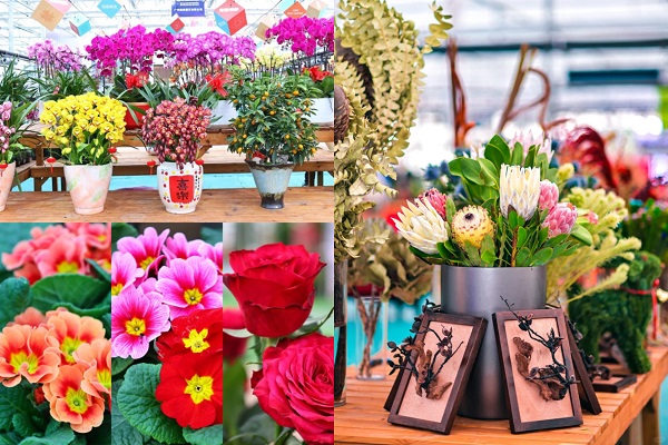 上海、2026年の新年フラワーマーケットがオープン！